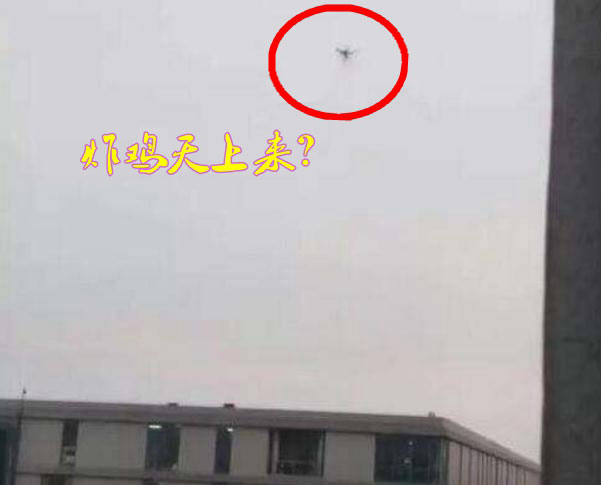 炸雞天上來，可知「炸機」危害性？
